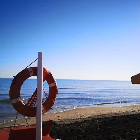 Baywatch *